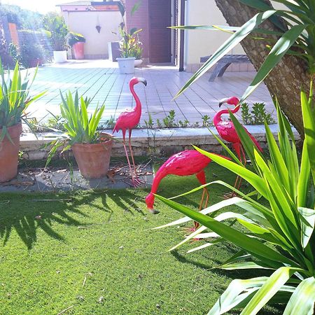 Ferienwohnung Casa Giardino San Benedetto del Tronto Exterior foto